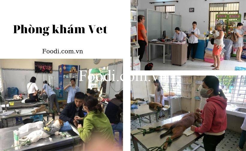 Top 20 Phòng khám thú y gần đây uy tín nhất tại Sài Gòn - TPHCM