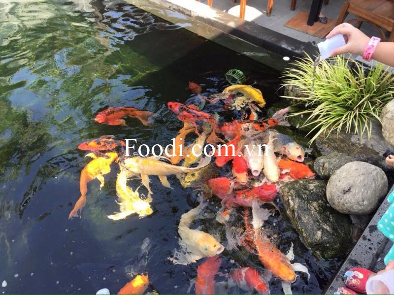 Top 10 Quán cafe cá koi Tây Ninh view sân vườn đẹp cực kỳ yên tĩnh