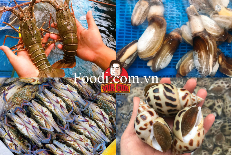 Top 12 Nhà hàng Quán hải sản Phú Yên Tuy Hòa tươi sống cực ngon